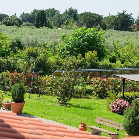 Villa Mandrioli Cecina Kültér fotó