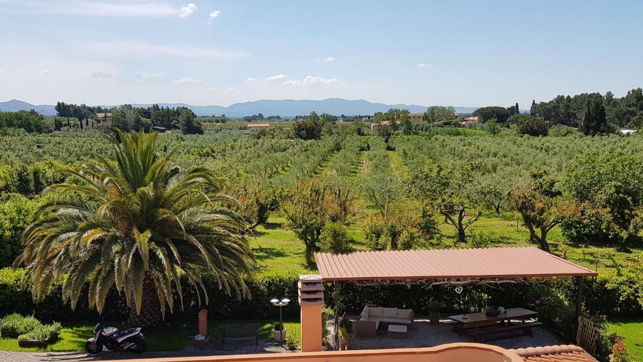 Villa Mandrioli Cecina Kültér fotó